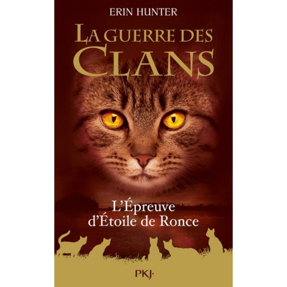 La Guerre Des Clans Hors Serie L Epreuve D Etoile De Ronce Hunter