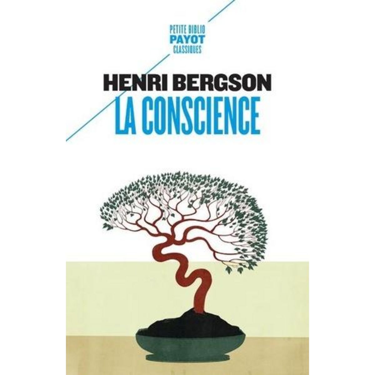 LA CONSCIENCE Bergson Henri Pas Cher Auchan Fr