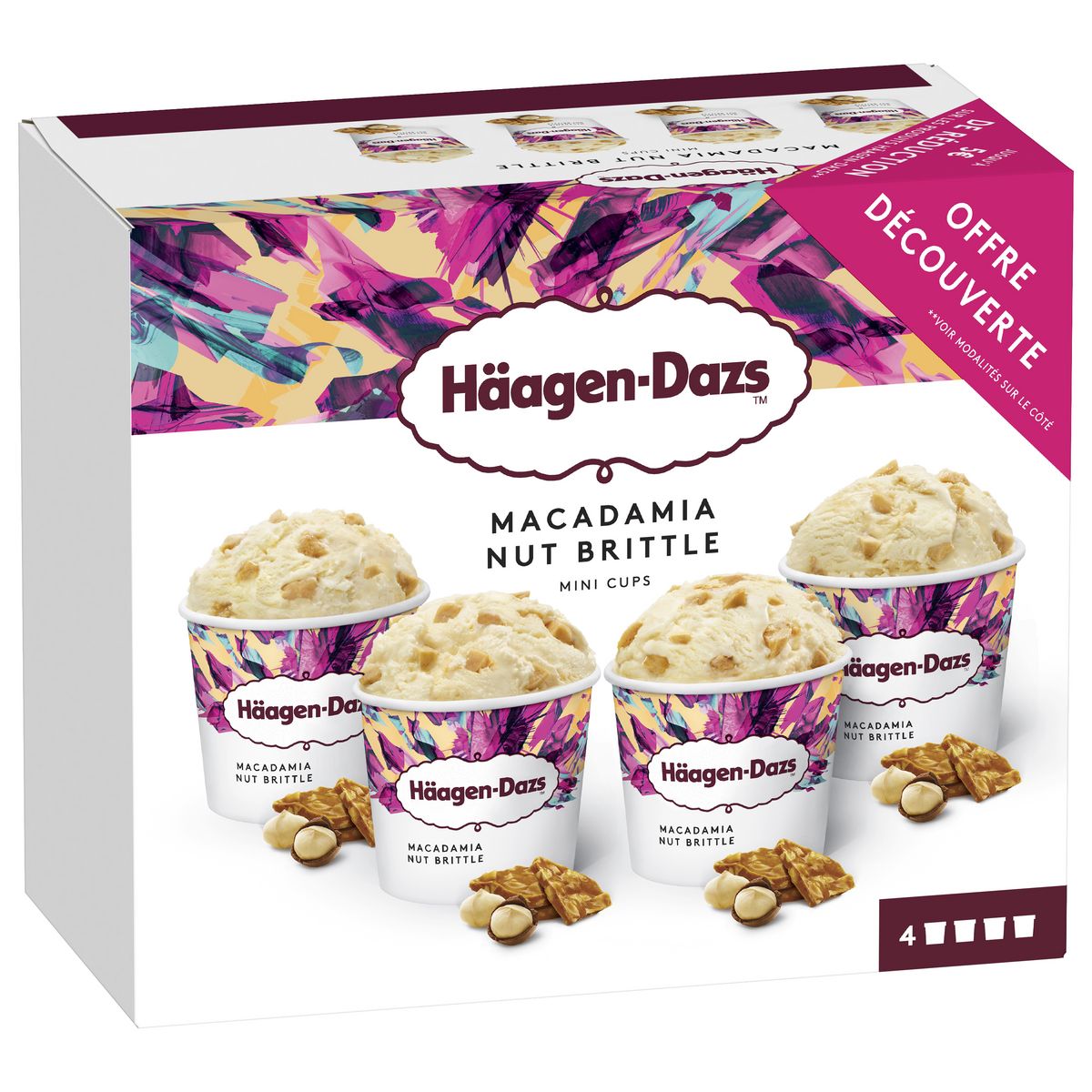 HAAGEN DAZS Mini pot crème glacée à la vanille et noix de macadamia