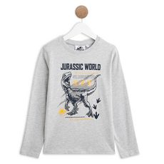 JURASSIC PARK T-shirt manches longues garçon (Gris chiné)