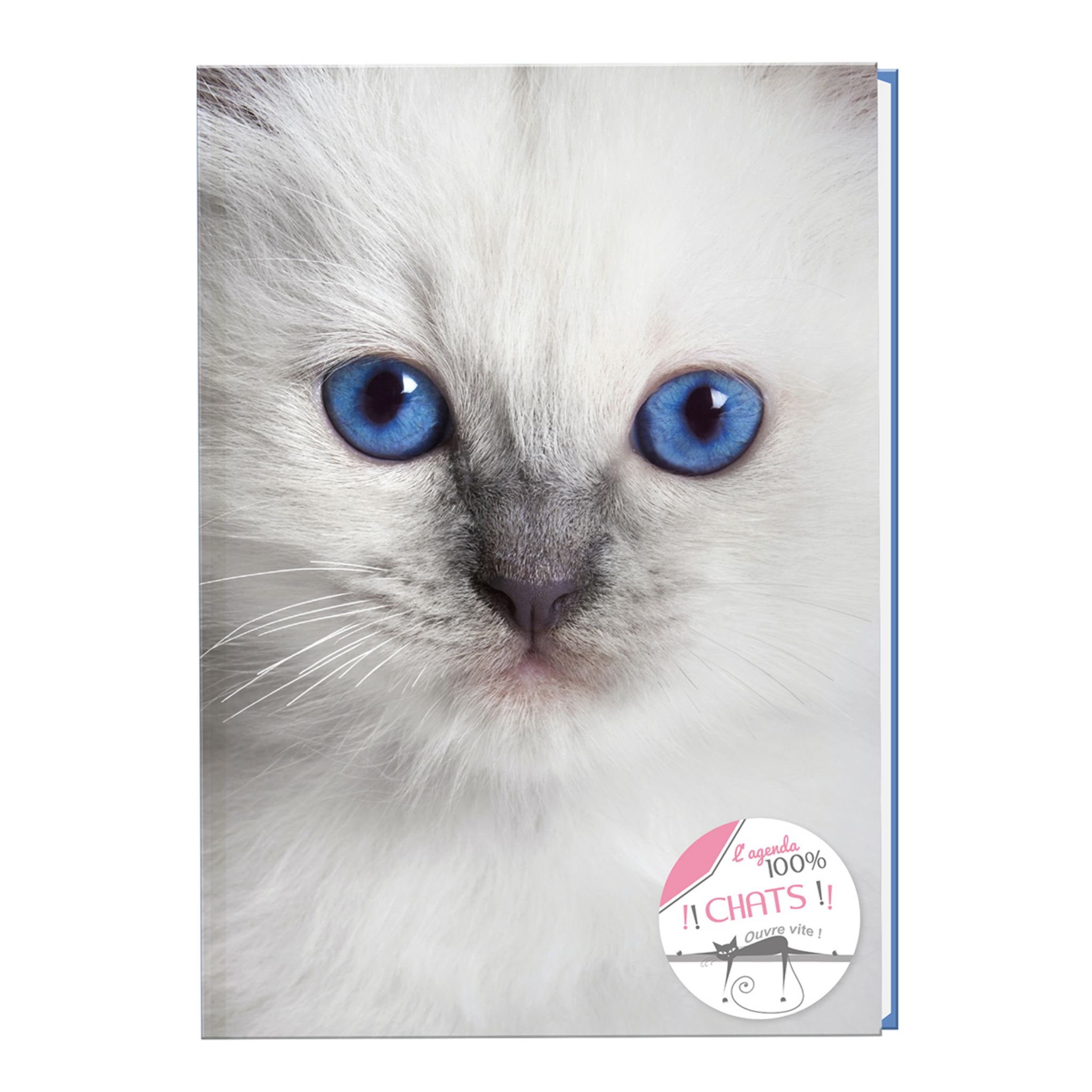 AUCHAN Agenda scolaire journalier fille rembordé 12x17cm chat 2023