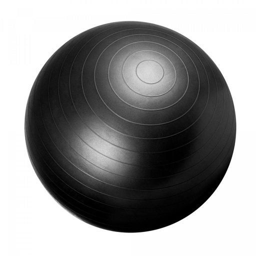Swiss ball - GORILLA SPORTS - Ballon de gym 65cm - Bleu - Fitness - Adulte  - Cdiscount Sport
