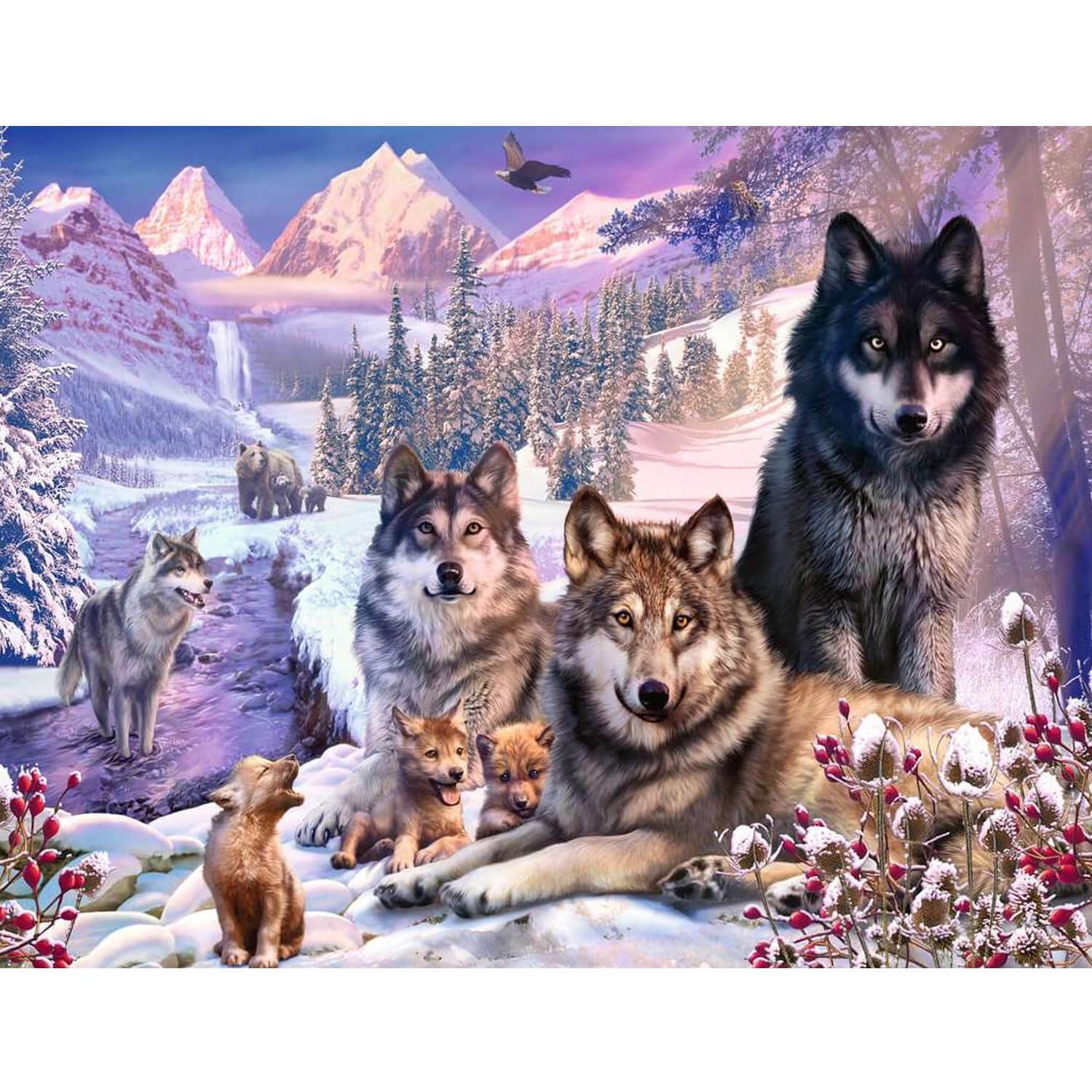 Puzzles 2 x 12 pièces : Le Loup qui voulait changer de couleur -  Ravensburger - Rue des Puzzles