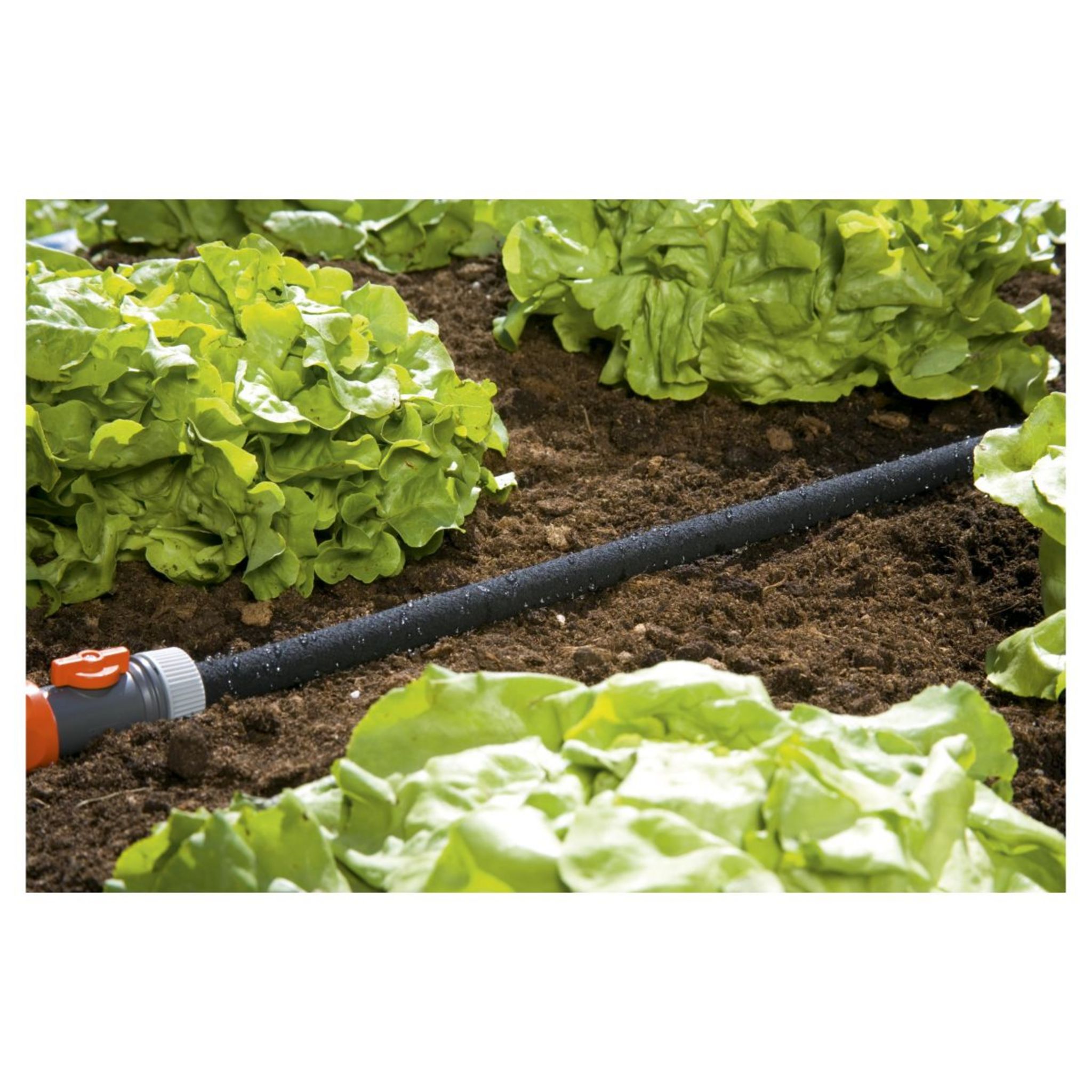 Tuyau arrosage microporeux 30m Irrigation goutte à goutte Jardin