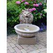 UBBINK Fontaine lion BASEL