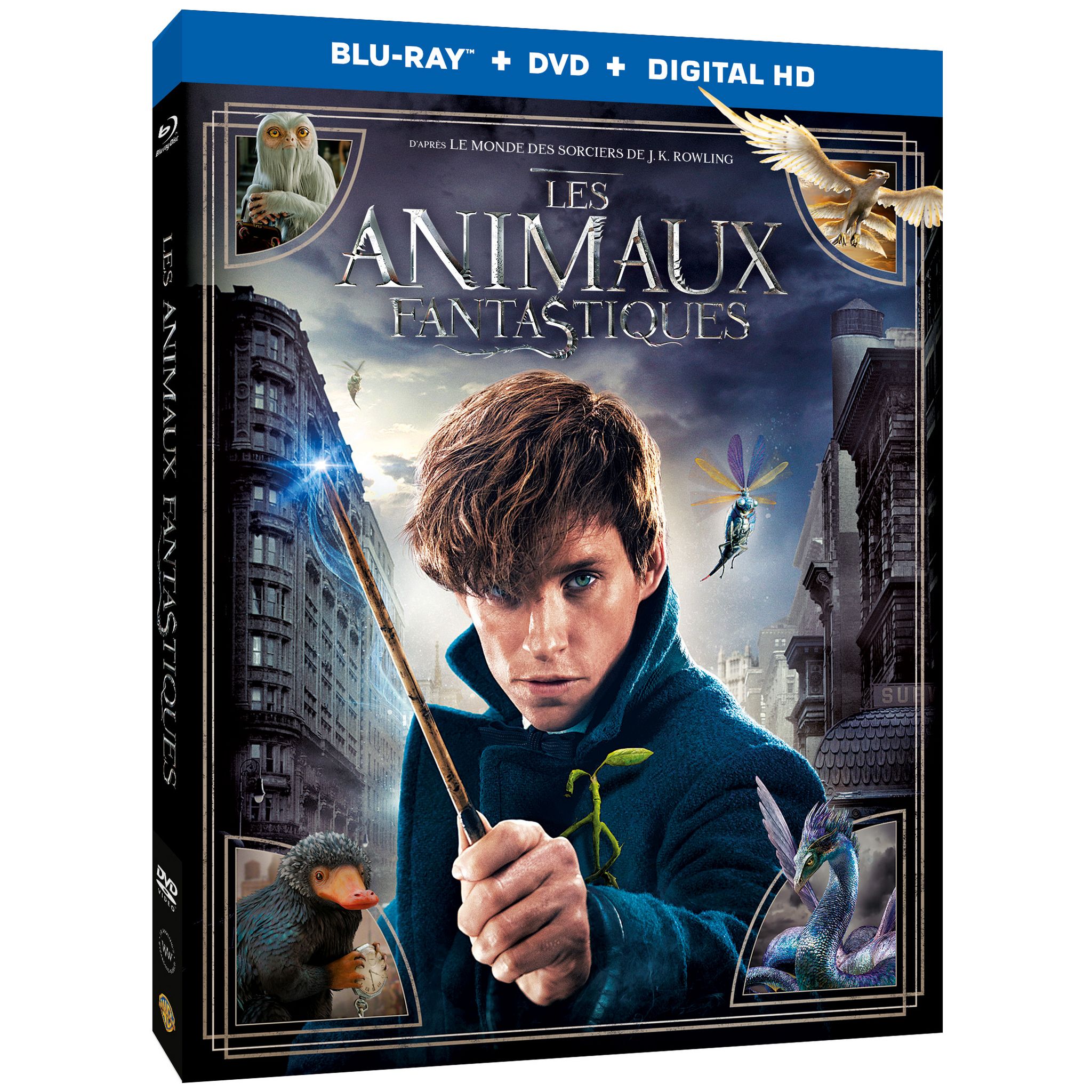 Wizarding World - Harry Potter / Les Animaux Fantastiques - L'intégrale  coffret 11 Films DVD pas cher 