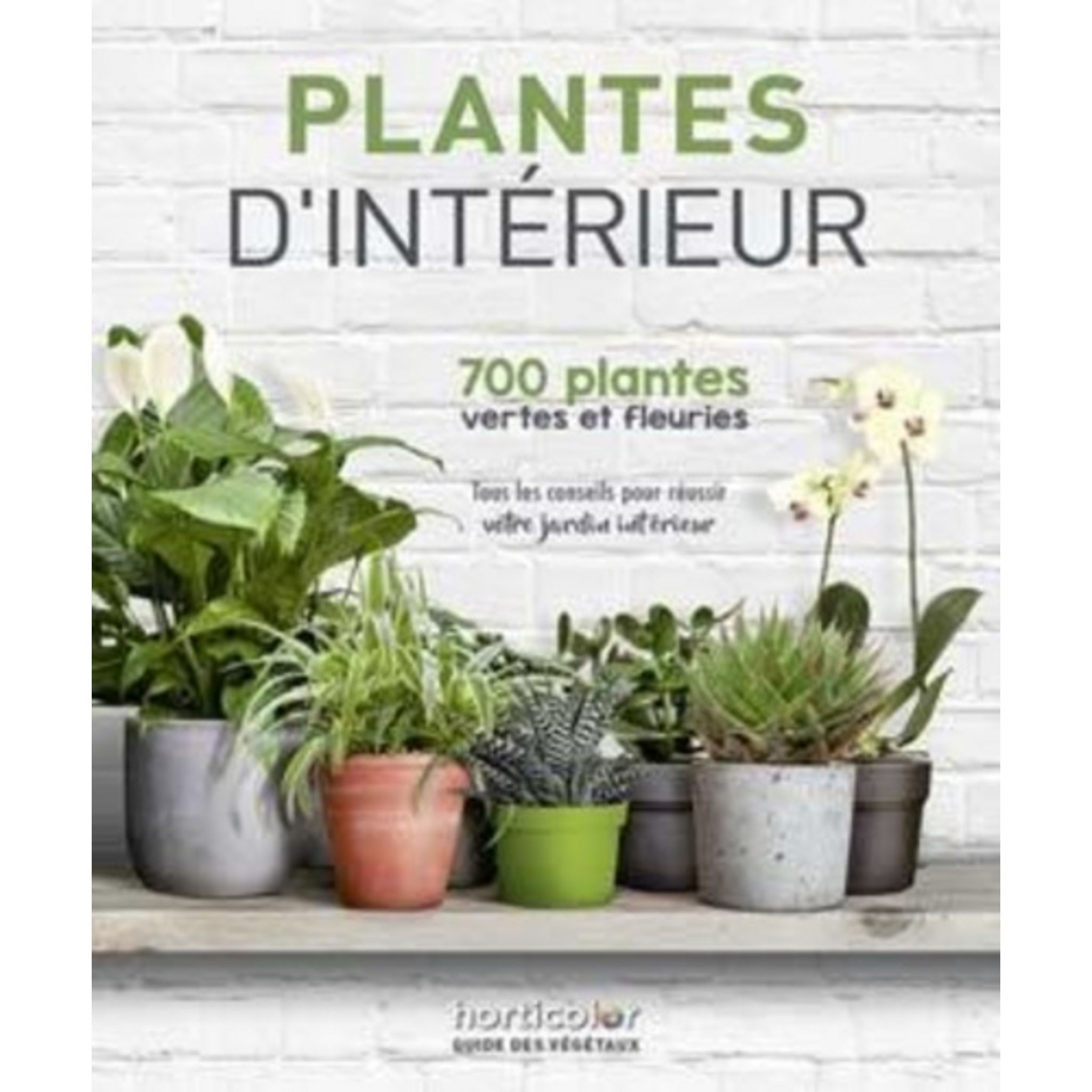 Plantes D intérieur 700 Plantes Vertes Et Fleuries PLANTES D'INTERIEUR, Horticolor pas cher - Auchan.fr