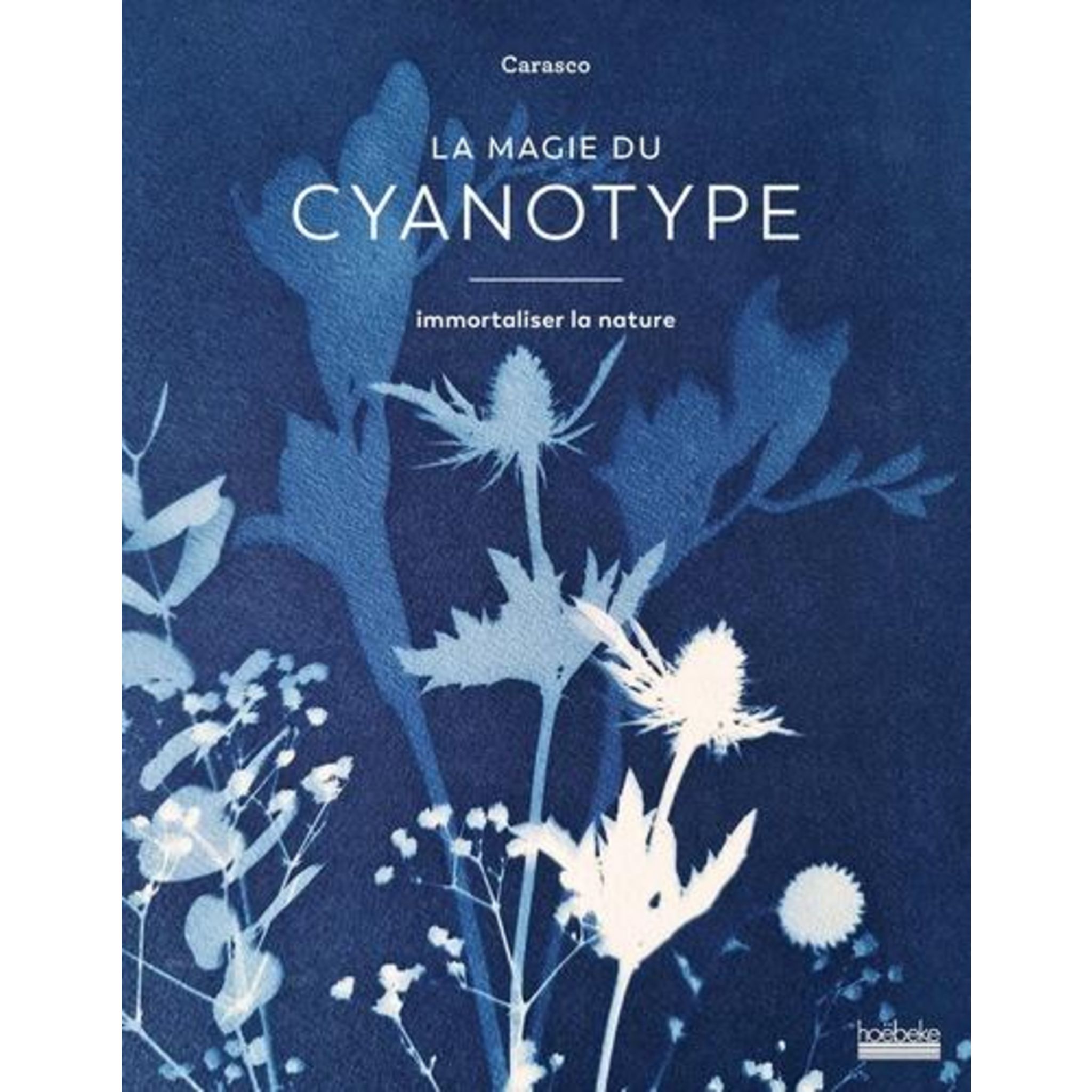 Comment faire des cyanotypes - Elle Décoration