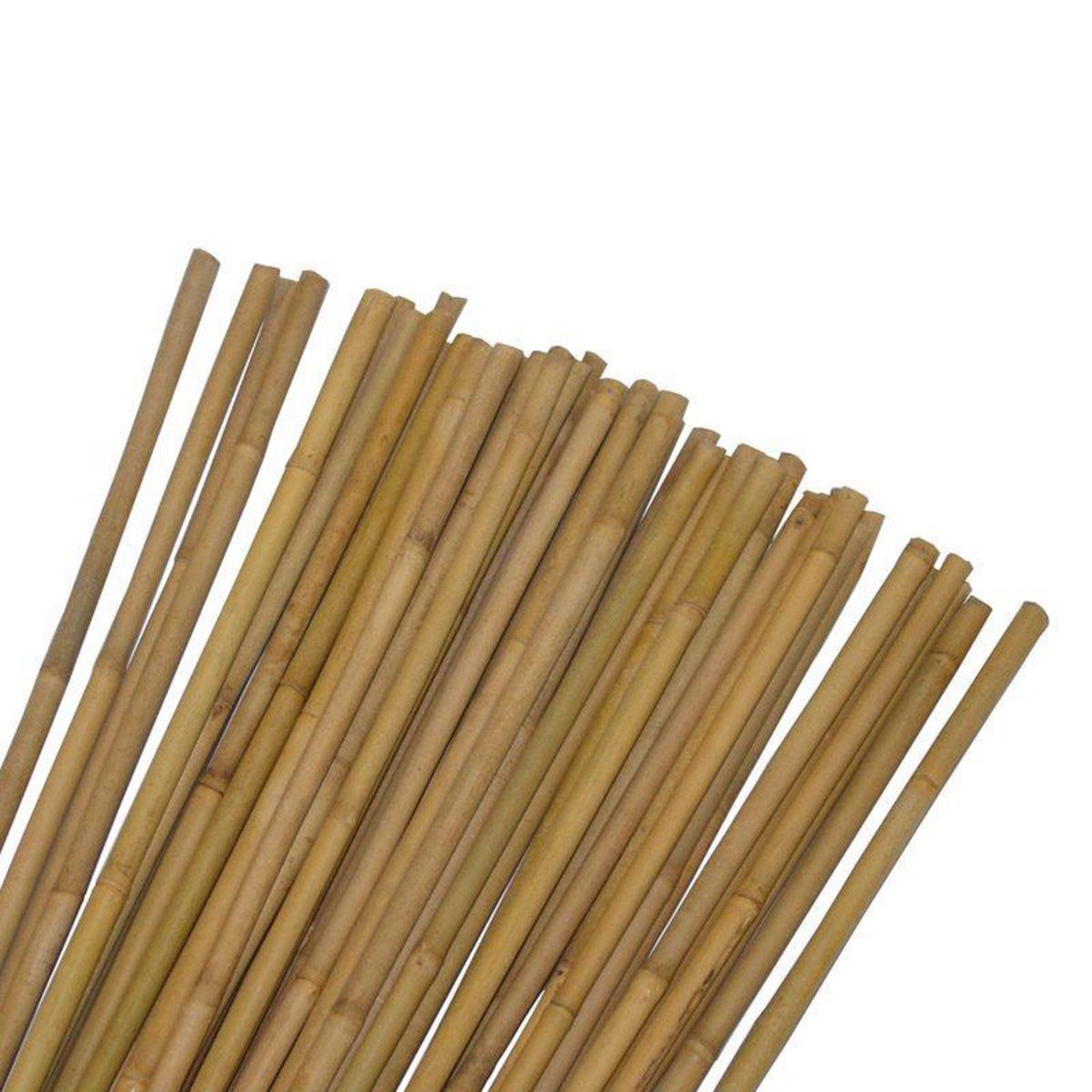 Tuteur pour plantes et légumes - En bambou - Hauteur : 60 cm