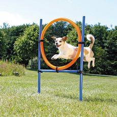 Trixie TRIXIE Obstacle de saut 123x115 cm Plastique Entraînement pour chiens 