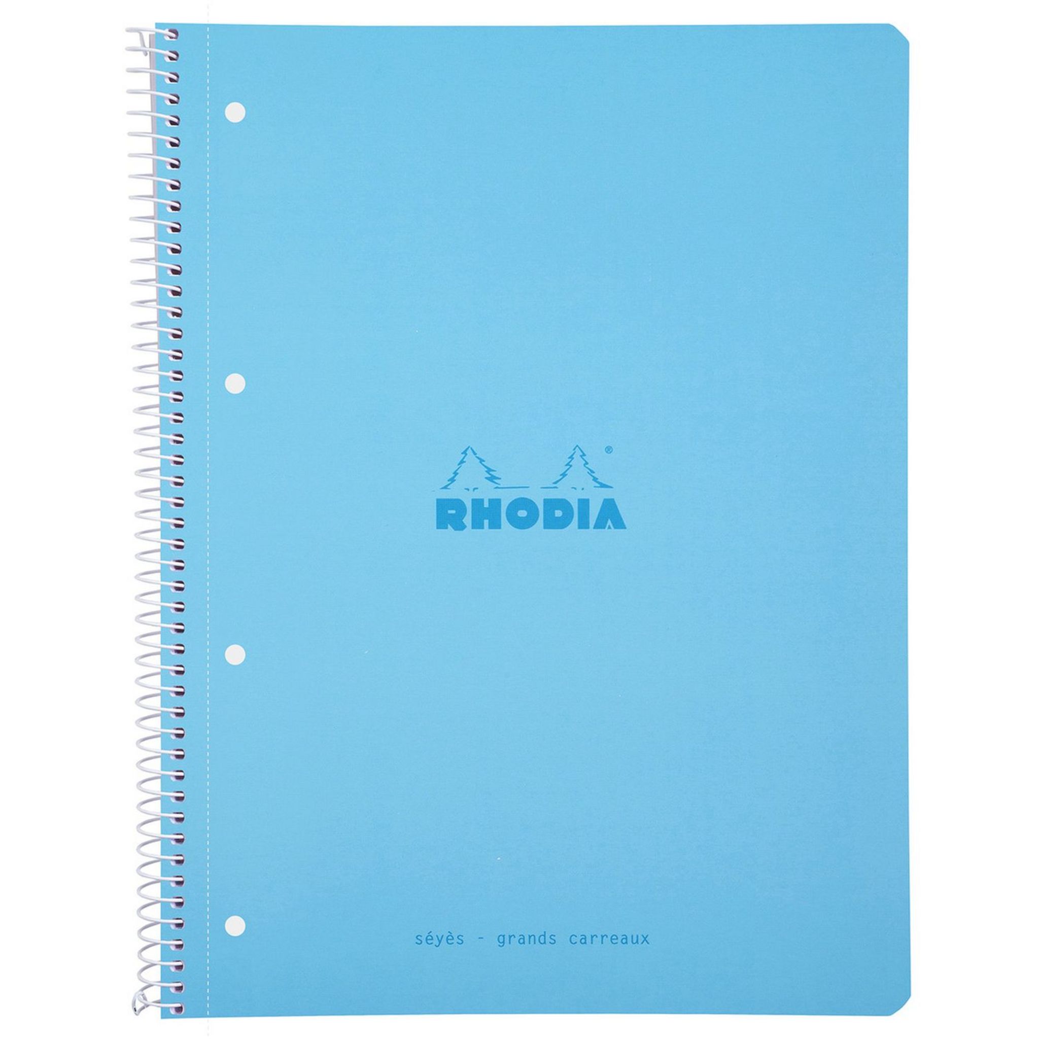 Carnet de notes grands carreaux, Rhodia (x 1, 160 pages)