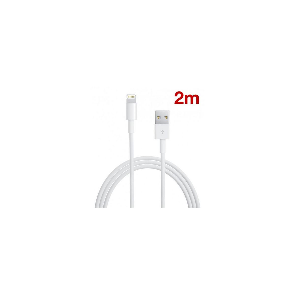 Adaptateur iPhone + câble chargeur iPhone 2 mètres - Convient pour