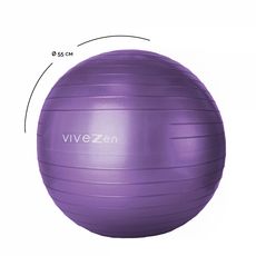Ballon de yoga, fitness, gymnastique - Diam 55 cm (Violet)