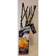La Haute culture Rosier grandes fleurs Charming