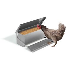 Jardikt Mangeoire pour poules automatique 10kg