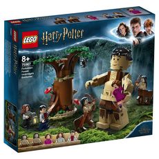 LEGO Harry Potter 75967 - La Forêt interdite 