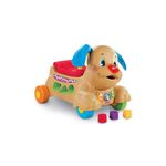 Porteur trotteur shop fisher price puppy