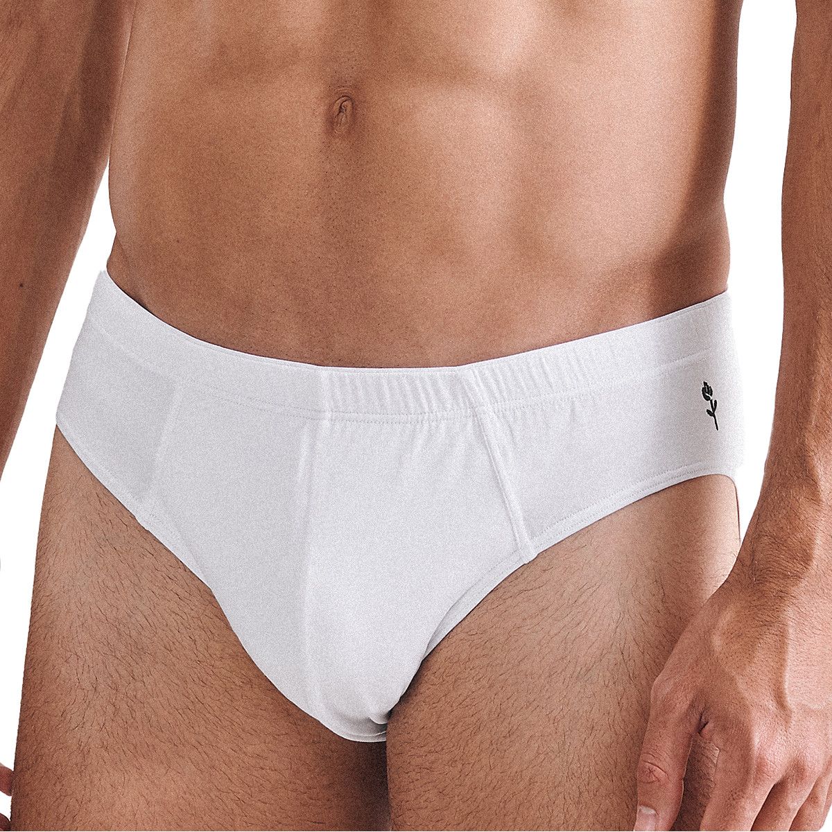 Slip blanc pour homme en vrac, 6 Pack, tailles S-3XL Algeria