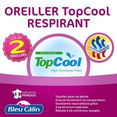 Acheter Promotion Bleu calin Lot de 2 oreillers Volume, 60 x 60 cm