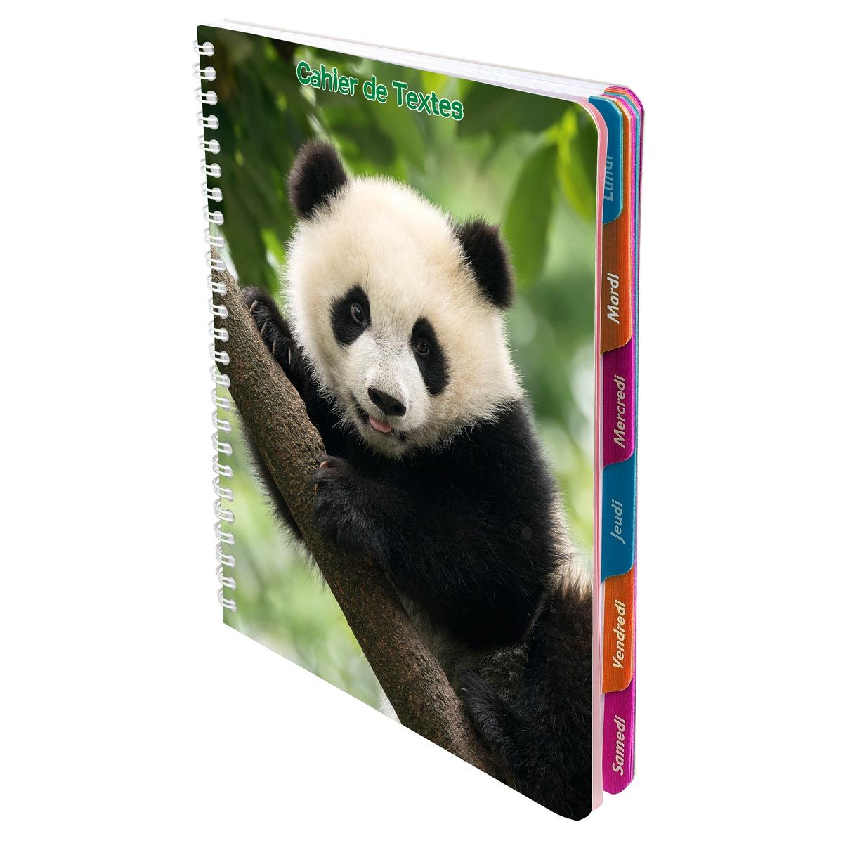 Cahier de texte à spirale fille 17x22cm 148 pages Animaux sauvages Panda sur un arbre pas cher