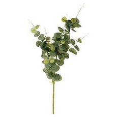 Plante Artificielle  Eucalyptus  91cm Vert