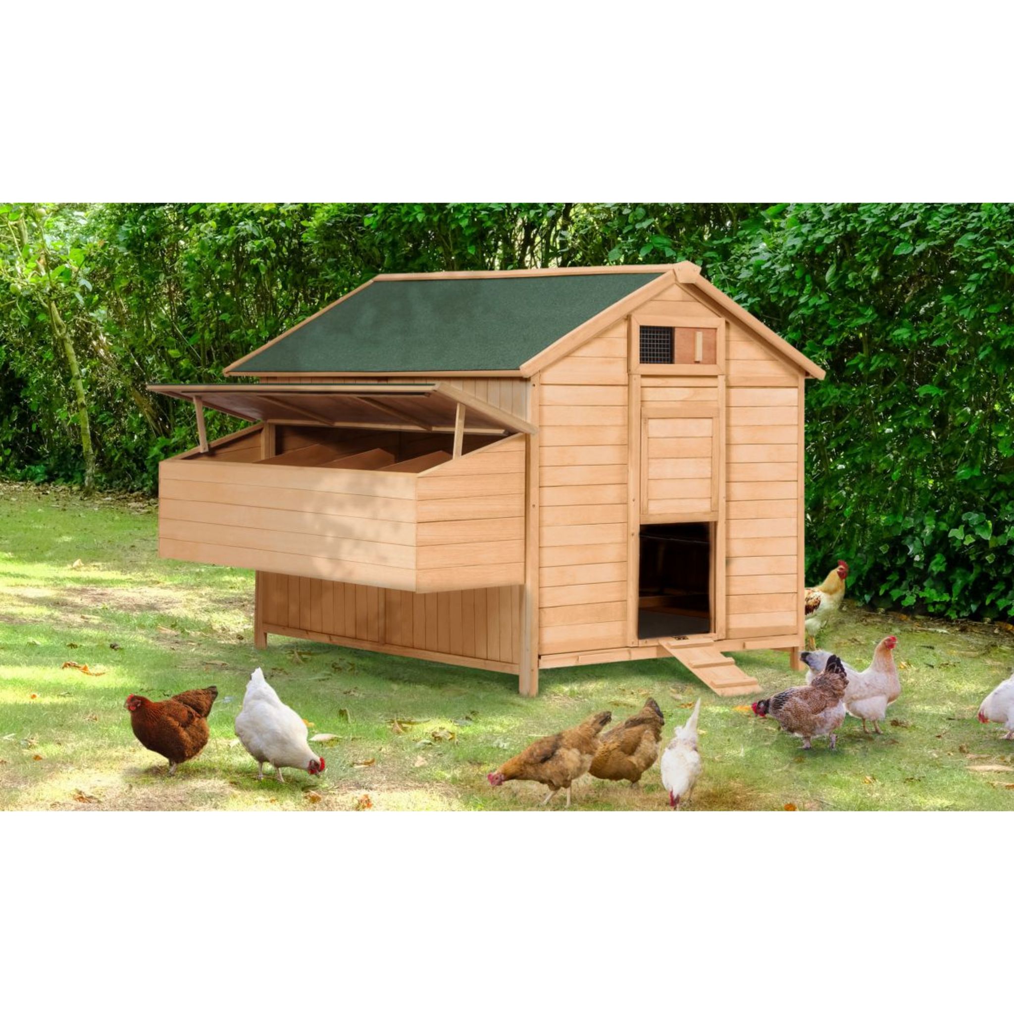 Poulailler chalet XL pour poules avec pondoir en bois