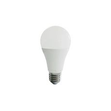 NITYAM Ampoule LED Globe E27 - 15W