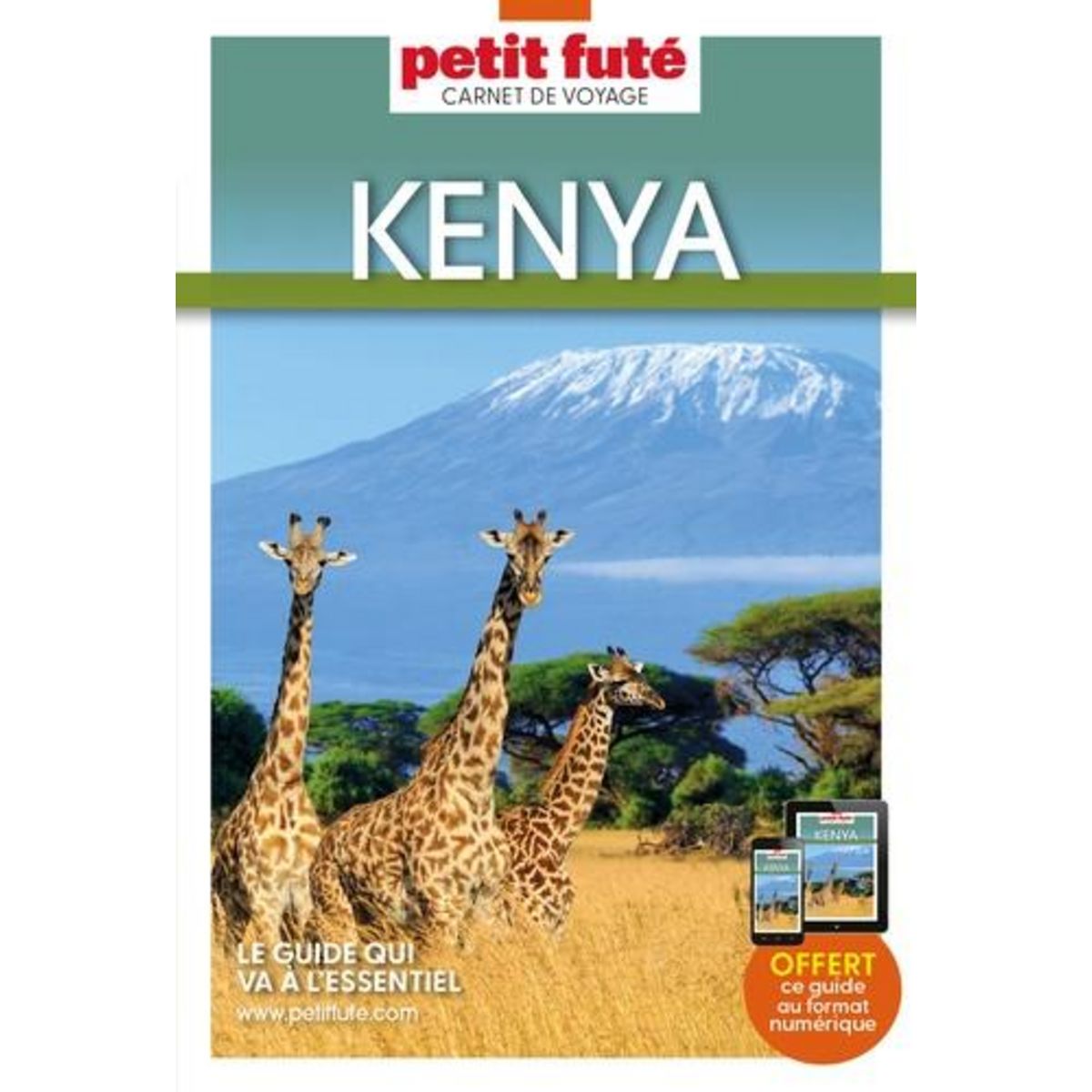 auchan voyage kenya