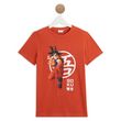 DRAGON BALL Z T-shirt manches courtes collection ado garçon. Coloris disponibles : Orange