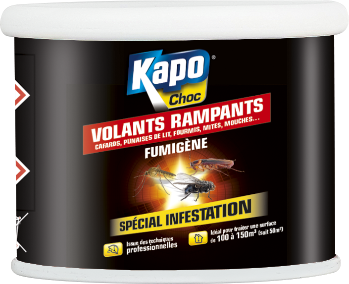 Kapo Insecticide fumigène tous insectes KAPO, 150m3 pas cher 