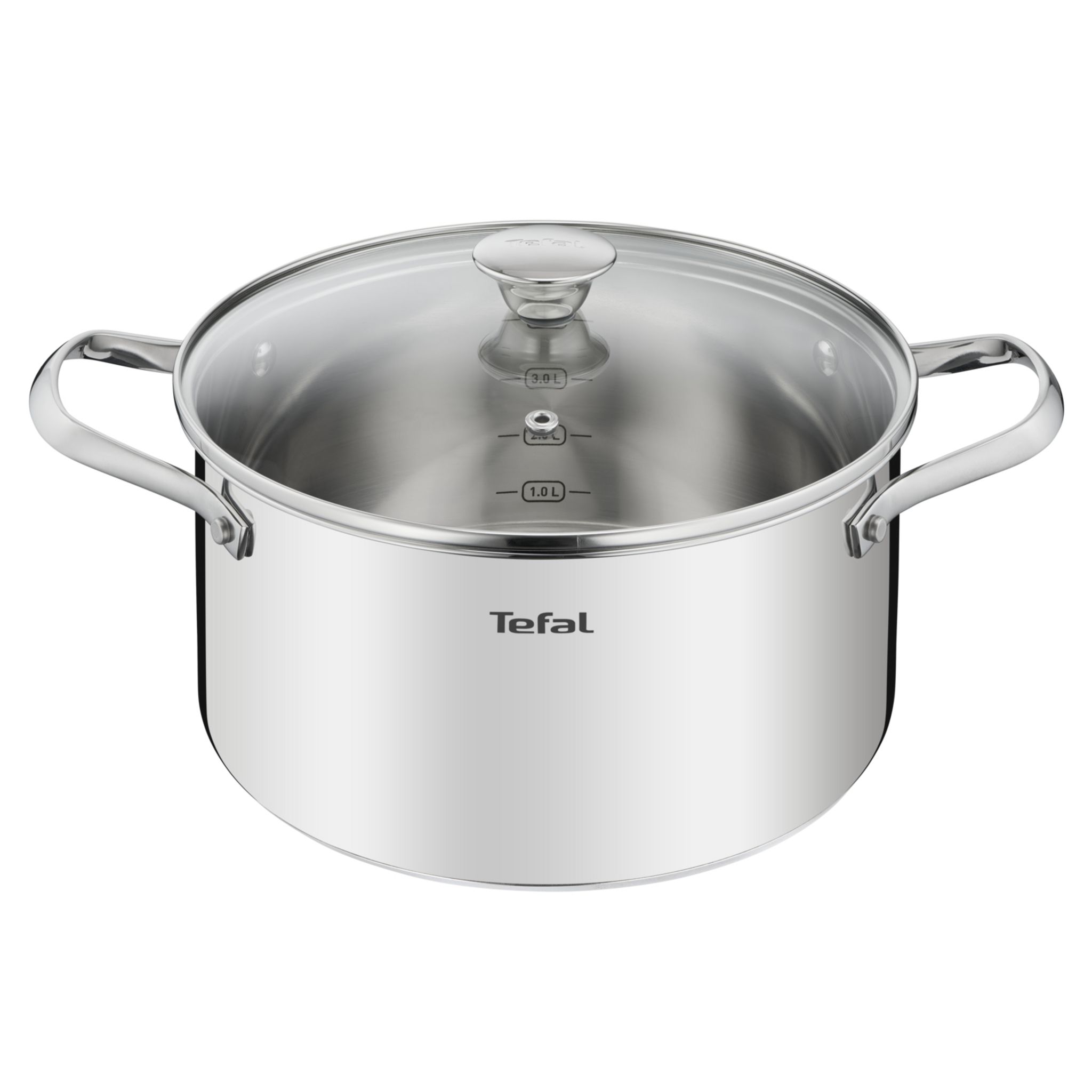 Tefal Faitout 24 cm (5 L) + couvercle verre, Induction, Acier inoxydable  haute qualité, Garantie 10 ans, Livre recette, Primary E3084604 :  : Cuisine et Maison