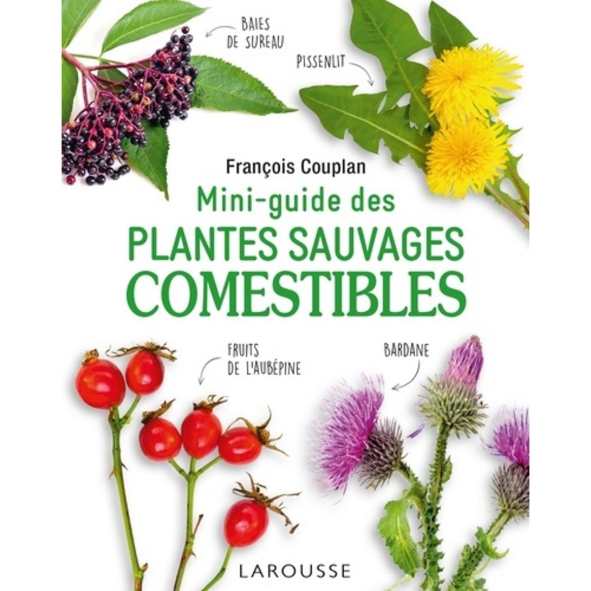 MINI-GUIDE DES PLANTES SAUVAGES COMESTIBLES, Couplan François Pas Cher ...