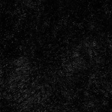Jouet pour Chien Sonore  Prunelle le Blaireau  28cm Noir