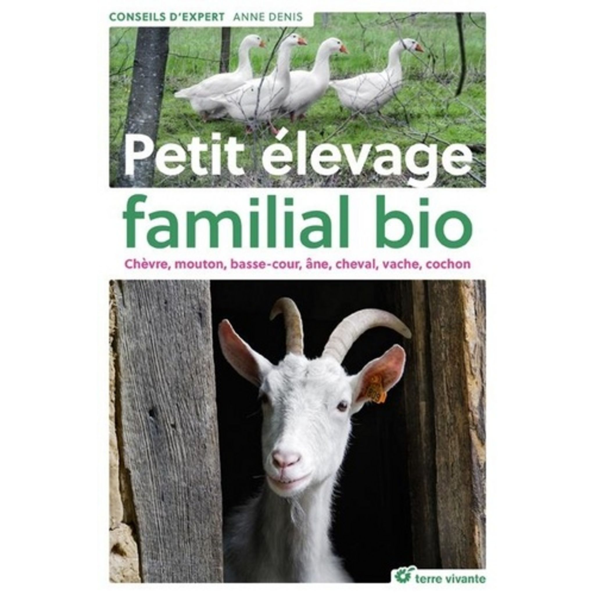 L'élevage des chèvres et des moutons