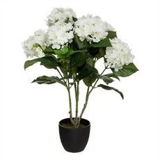  Plante Artificielle  Hortensia  61cm Blanc