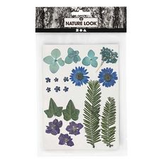 Fleurs séchées et feuilles pressées - bleu - 19 pièces environ