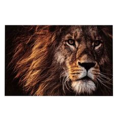 Cadre Déco  Lion  100x150cm Marron & Noir
