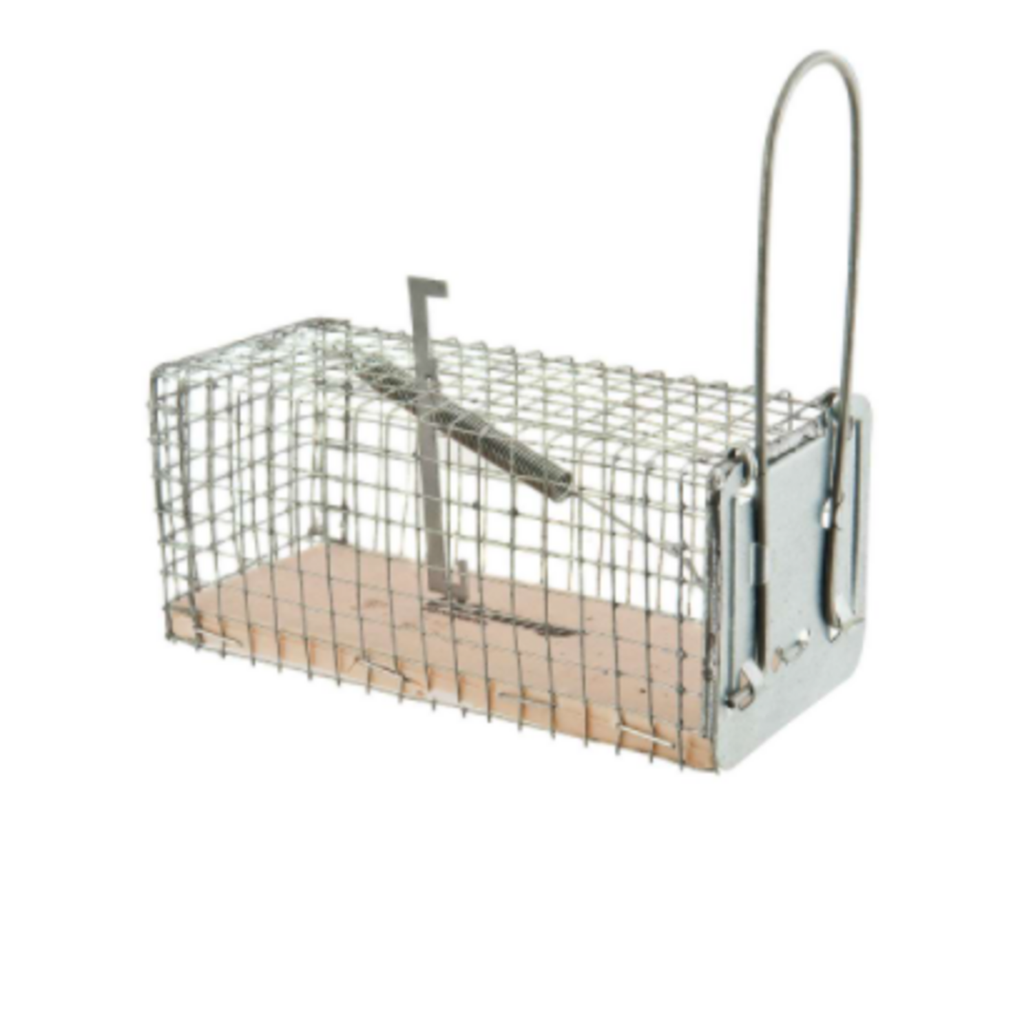 Nasse pour souris ou rat WERKA PRO 20 x 10 x 10 cm