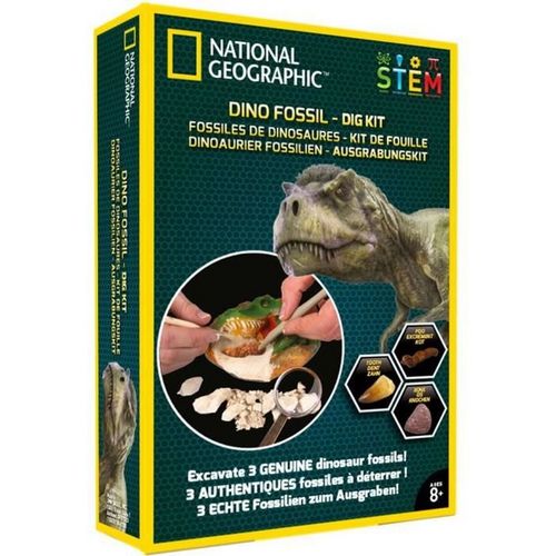 Kit de fouille fossiles de dinosaures