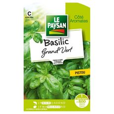 LE PAYSAN Semence potagère basilic grand vert x1 1 pièce