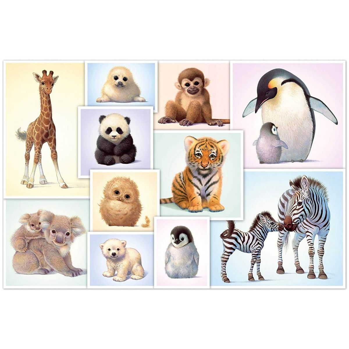 Schmidt Puzzle 200 pièces : Bébés animaux sauvages