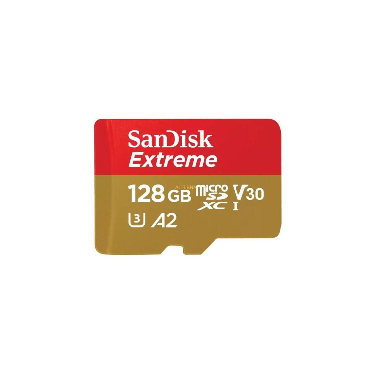 SANDISK Carte Micro SD 128GO Micro SDX Extreme