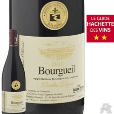 Domaine Olivier Bourgueil Cuvée de Santenay Vieilles Vignes Rouge 2011