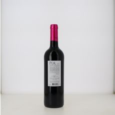 Envie De Pur Blaye Côtes De Bordeaux Rouge 2017