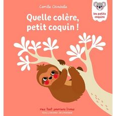 QUELLE COLERE, PETIT COQUIN !, Chincholle Camille