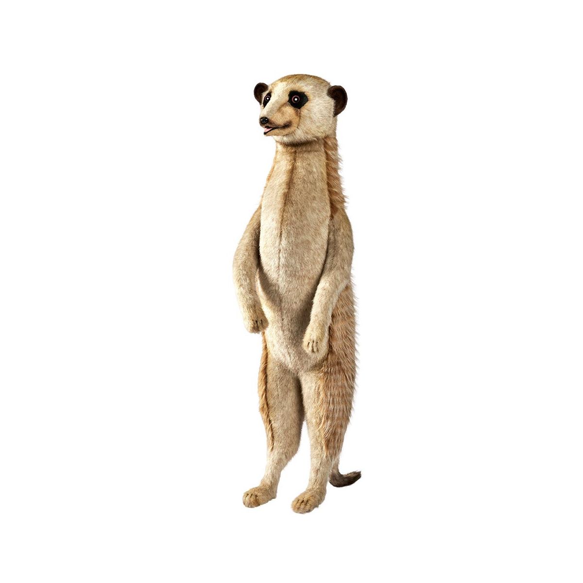 Suricate peluche shop