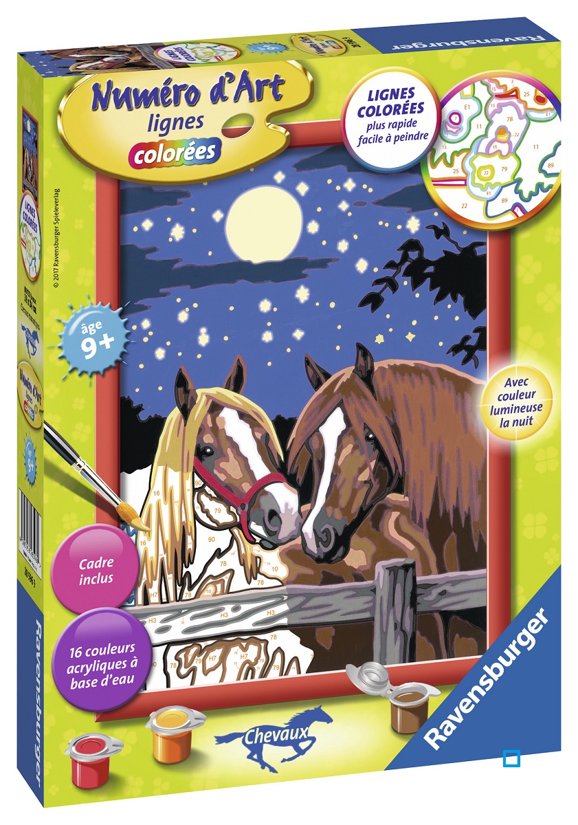 Ravensburger – Numéro d'Art format 8x12cm – Cheval de nuit