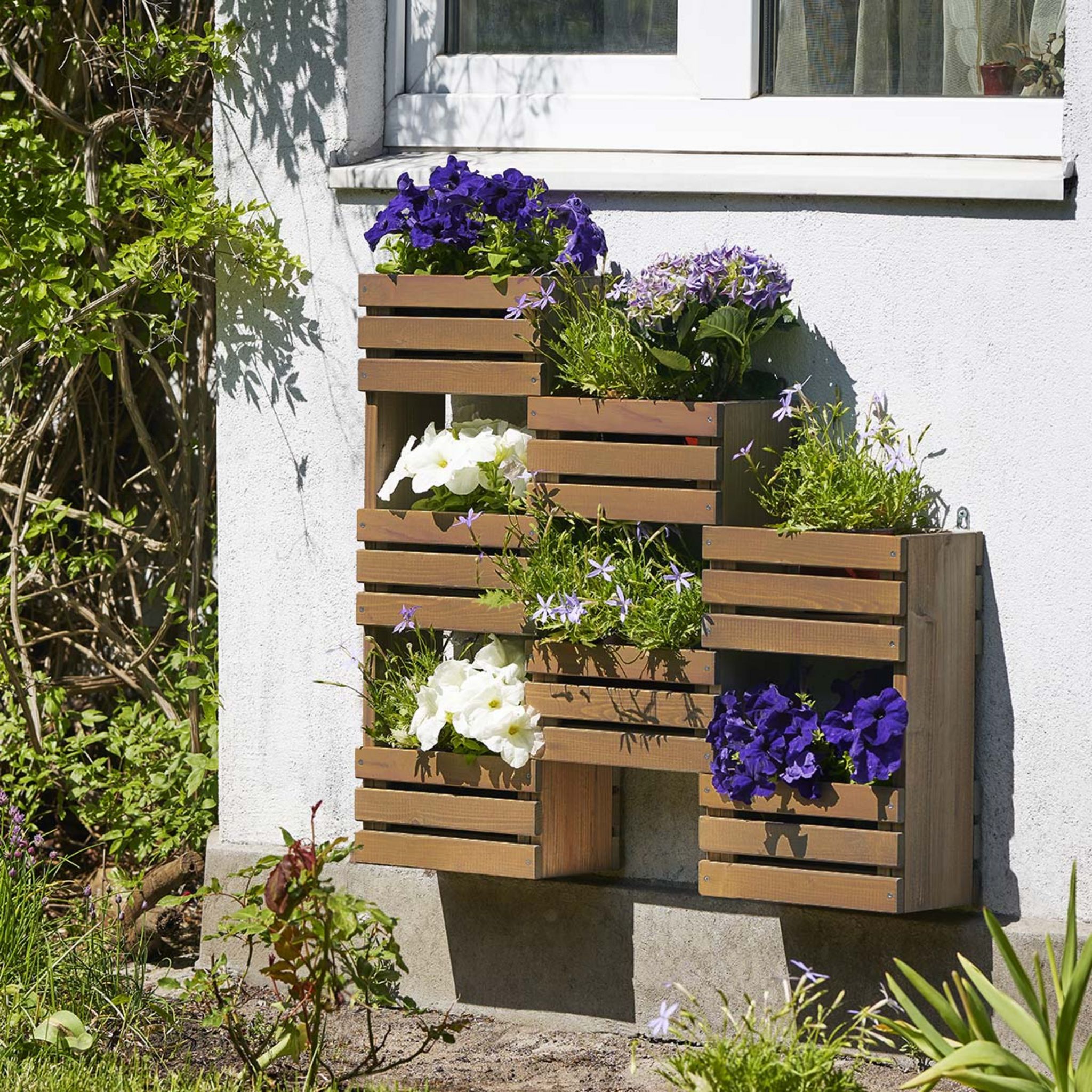 Etagère à plantes murale en bois 6 bacs - Achat/vente de Potagers et serres  pas cher - Cemonjardin