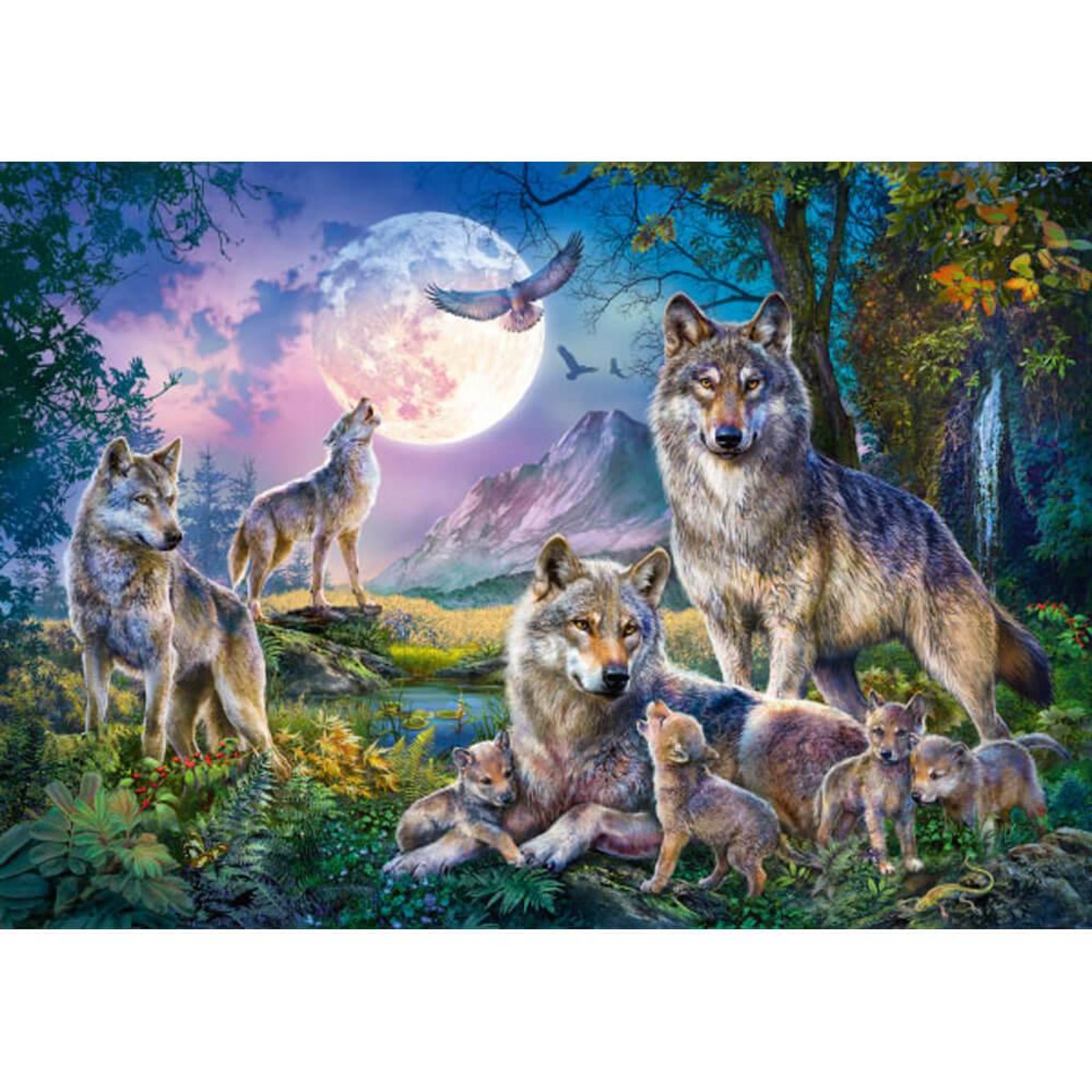 Puzzle 1500 pièces : Loup dans la nuit - Castorland - Rue des Puzzles