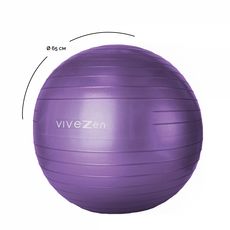 VIVEZEN Ballon de yoga, fitness, gymnastique - Diam 65 cm (Violet)